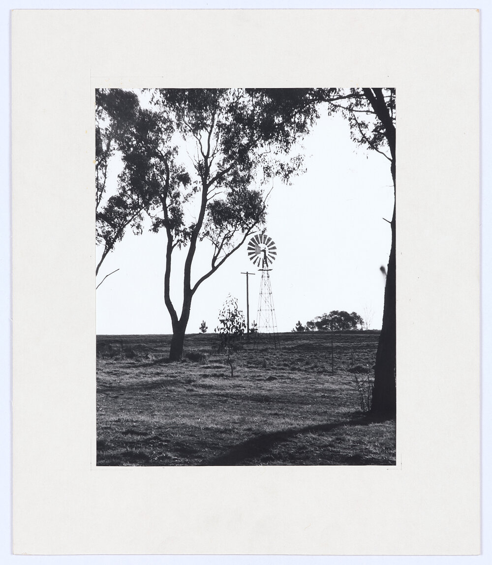 Botanic Gardens, Orange, NSW