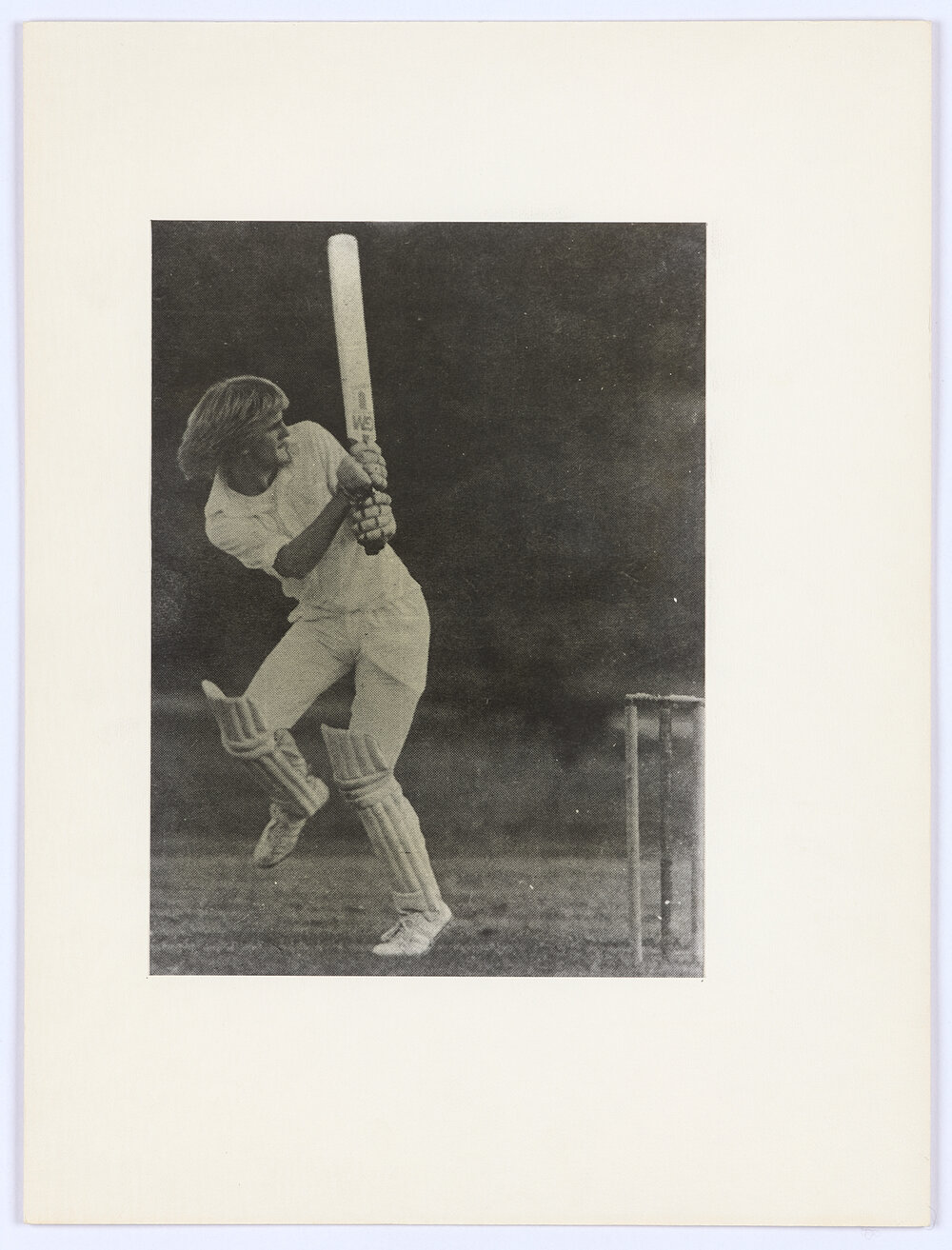 Cricket, an Austalian passion