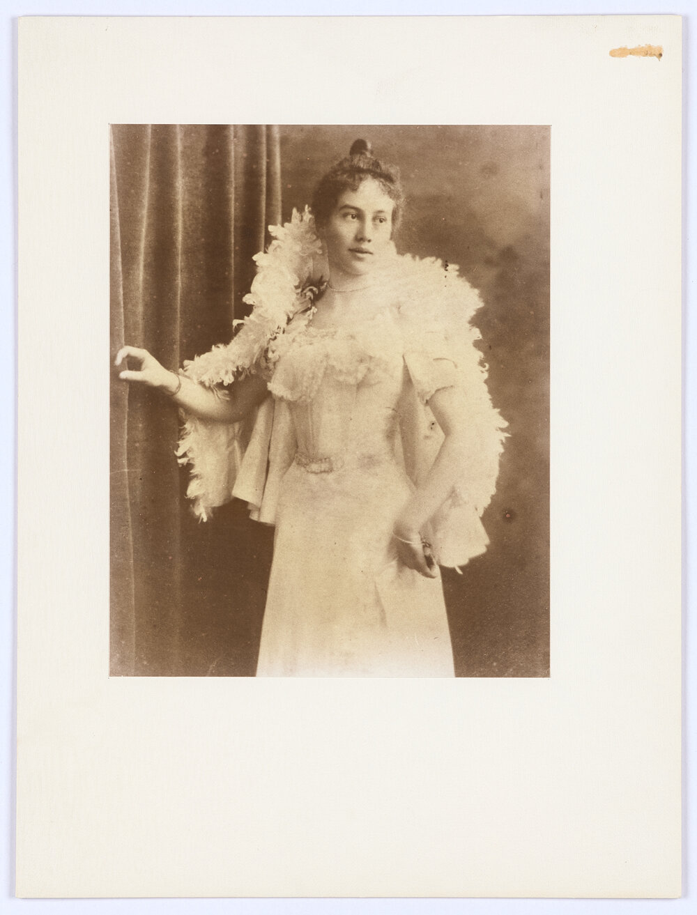 Nineteenth century elegance