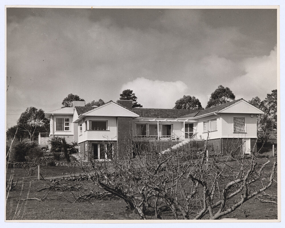 A modern Orange home