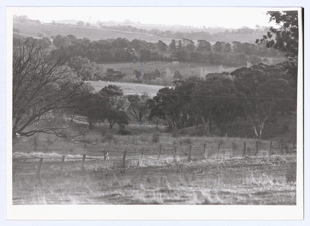 View west from entrance to the Botanic Gardens