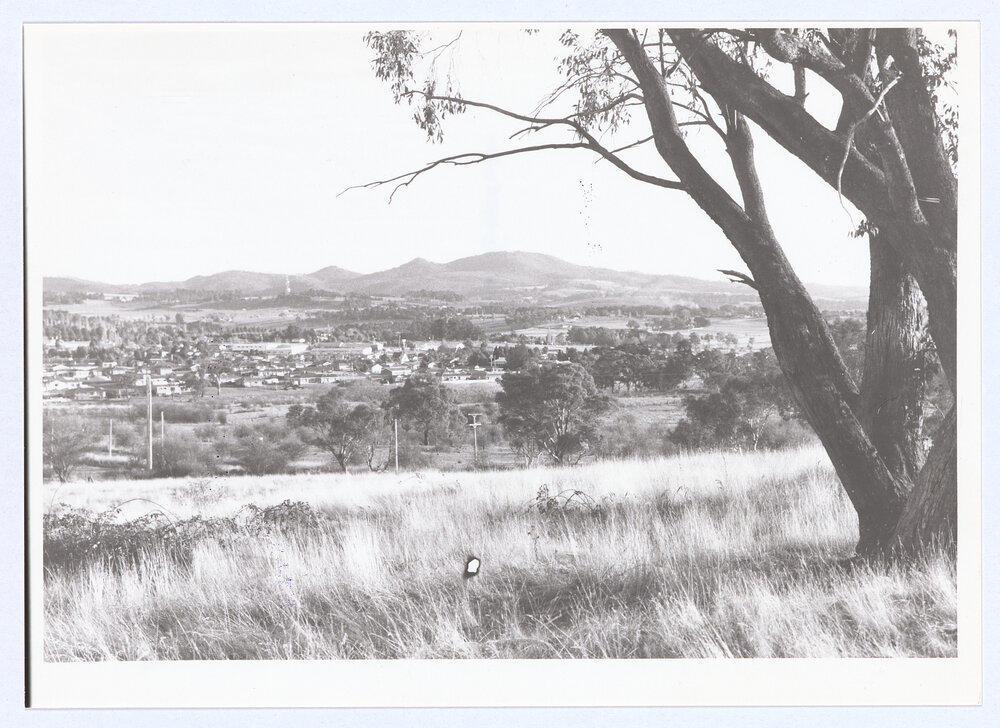 View west from the Botanic Gardens