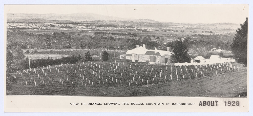 Panoramic view of Orange