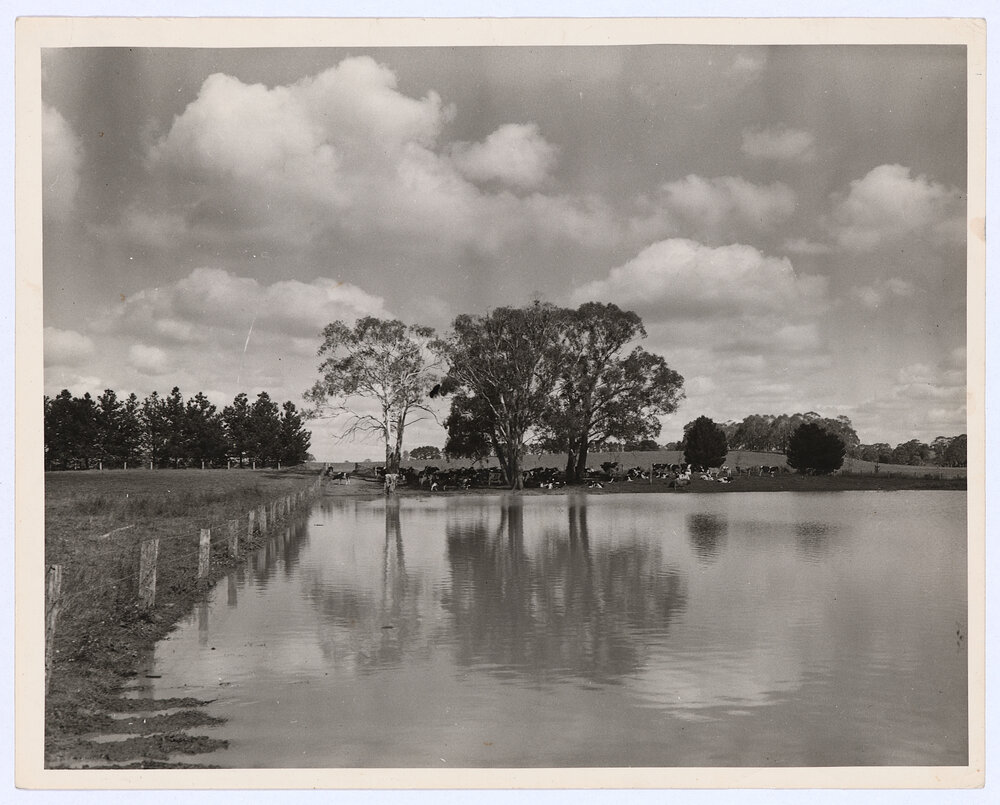 Dairying property outside Orange