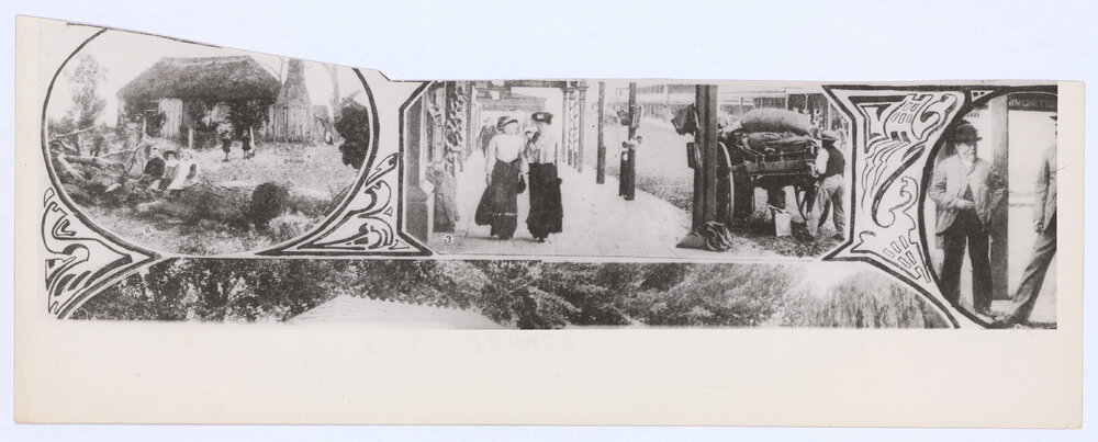 Orange And Some of Its Industries