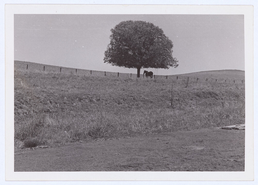 Sewerage treatment works Orange