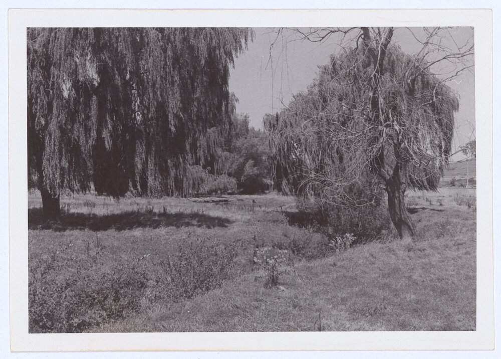 Sewerage treatment works Orange