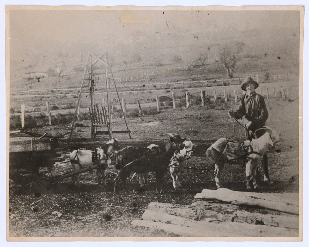 Shadforth parcel-run team