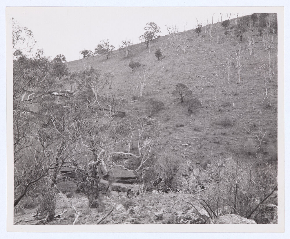 Suma Park Dam, Orange, NSW