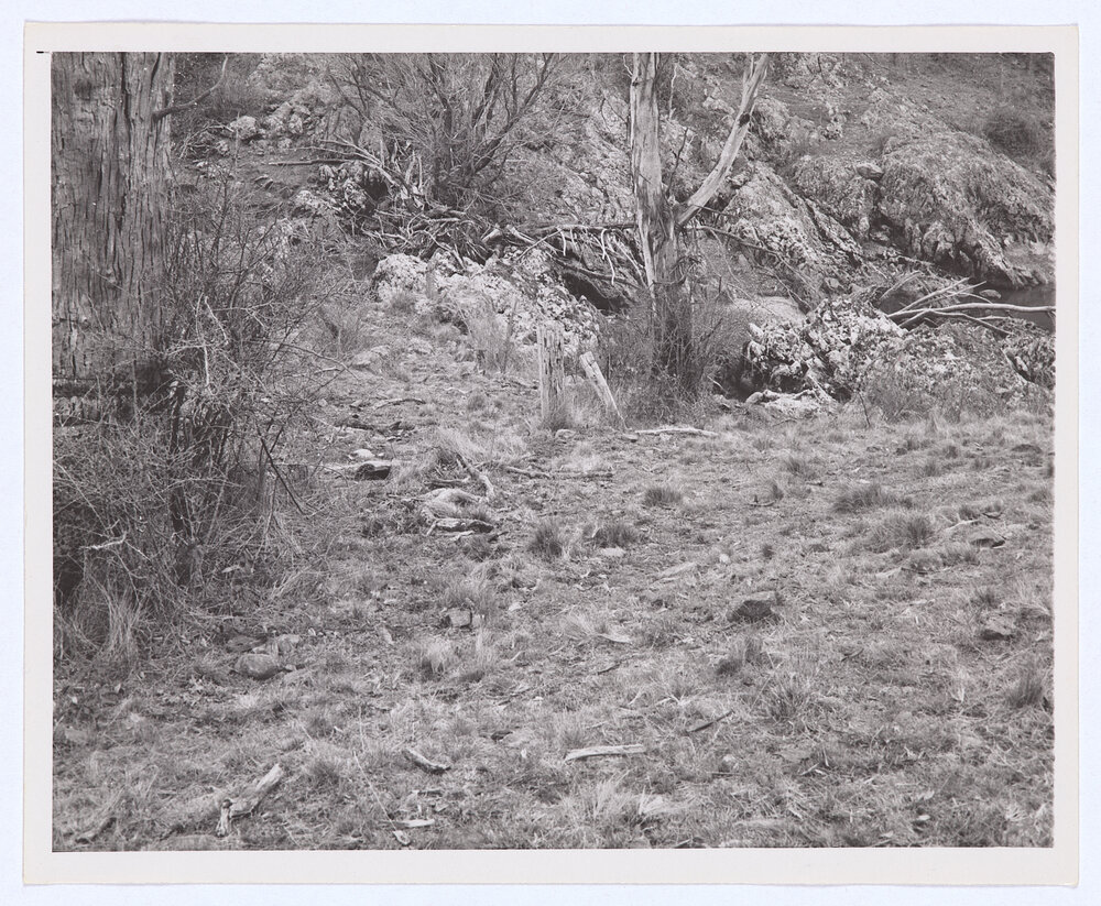 Suma Park Dam, Orange, NSW