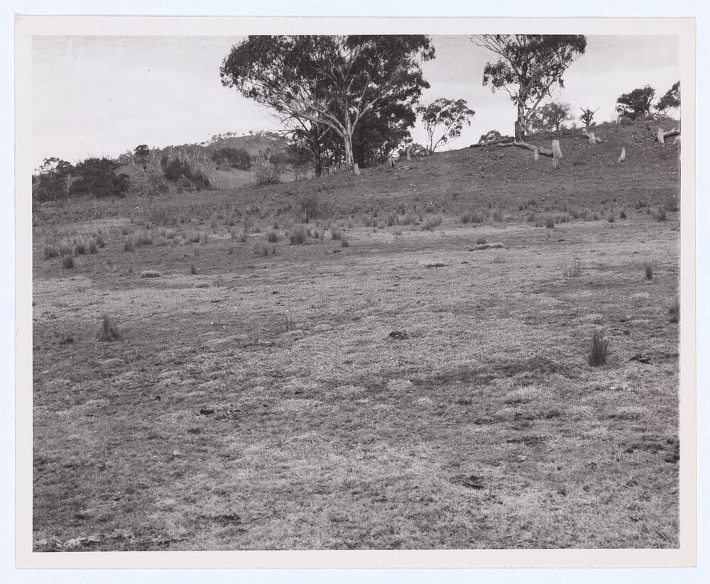 Suma Park Dam, Orange, NSW