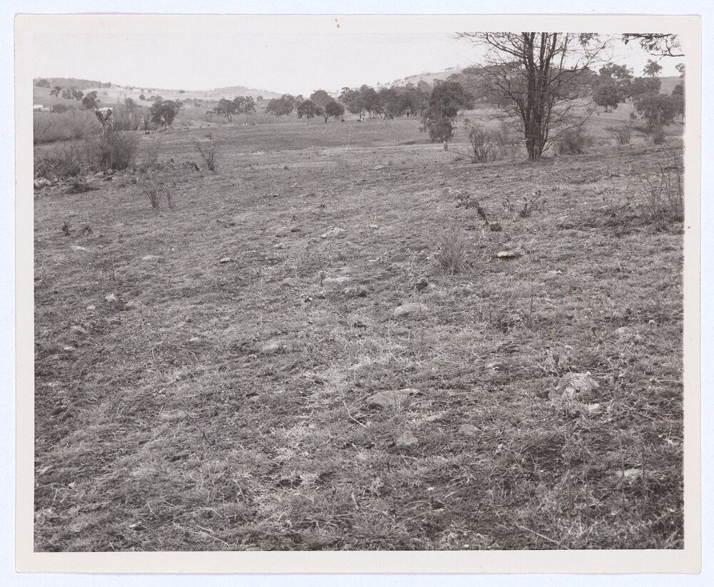 Suma Park Dam, Orange, NSW