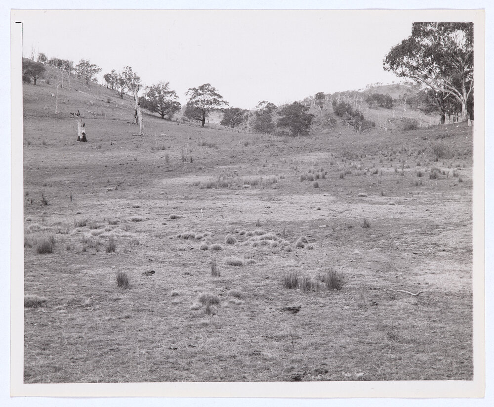 Suma Park Dam, Orange, NSW