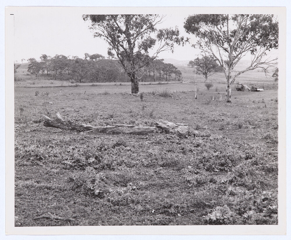 Suma Park Dam, Orange, NSW