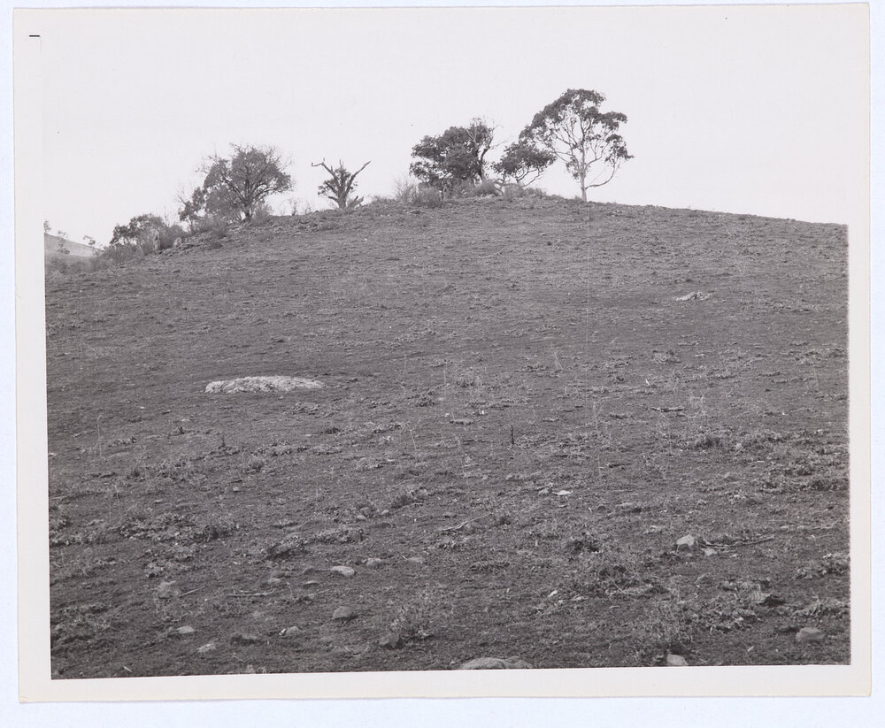Suma Park Dam, Orange, NSW