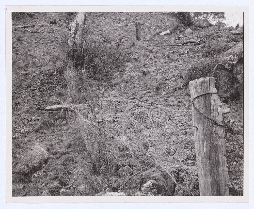Suma Park Dam, Orange, NSW