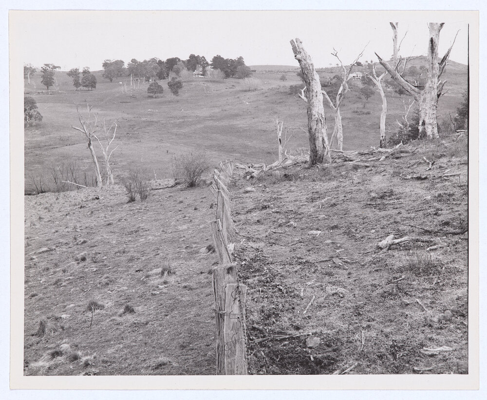 Suma Park Dam, Orange, NSW