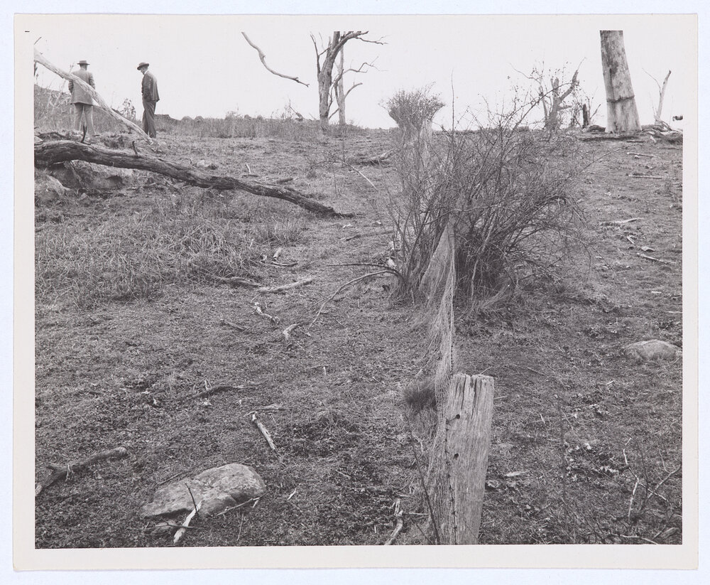 Suma Park Dam, Orange, NSW