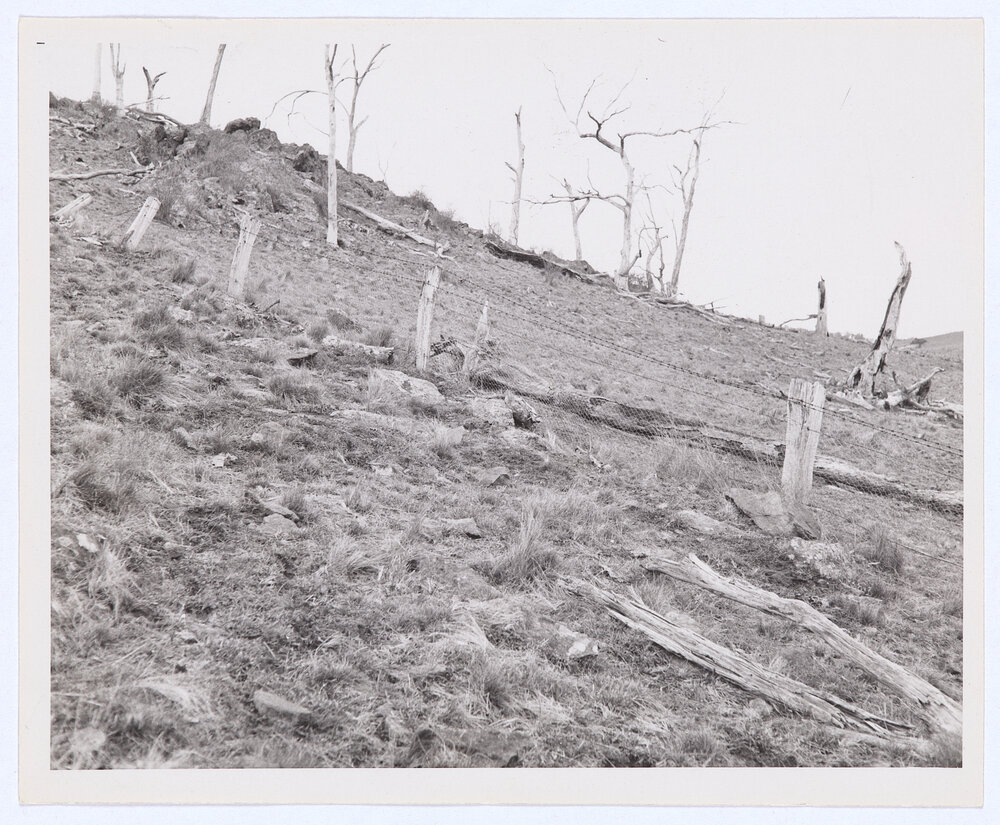 Suma Park Dam, Orange, NSW