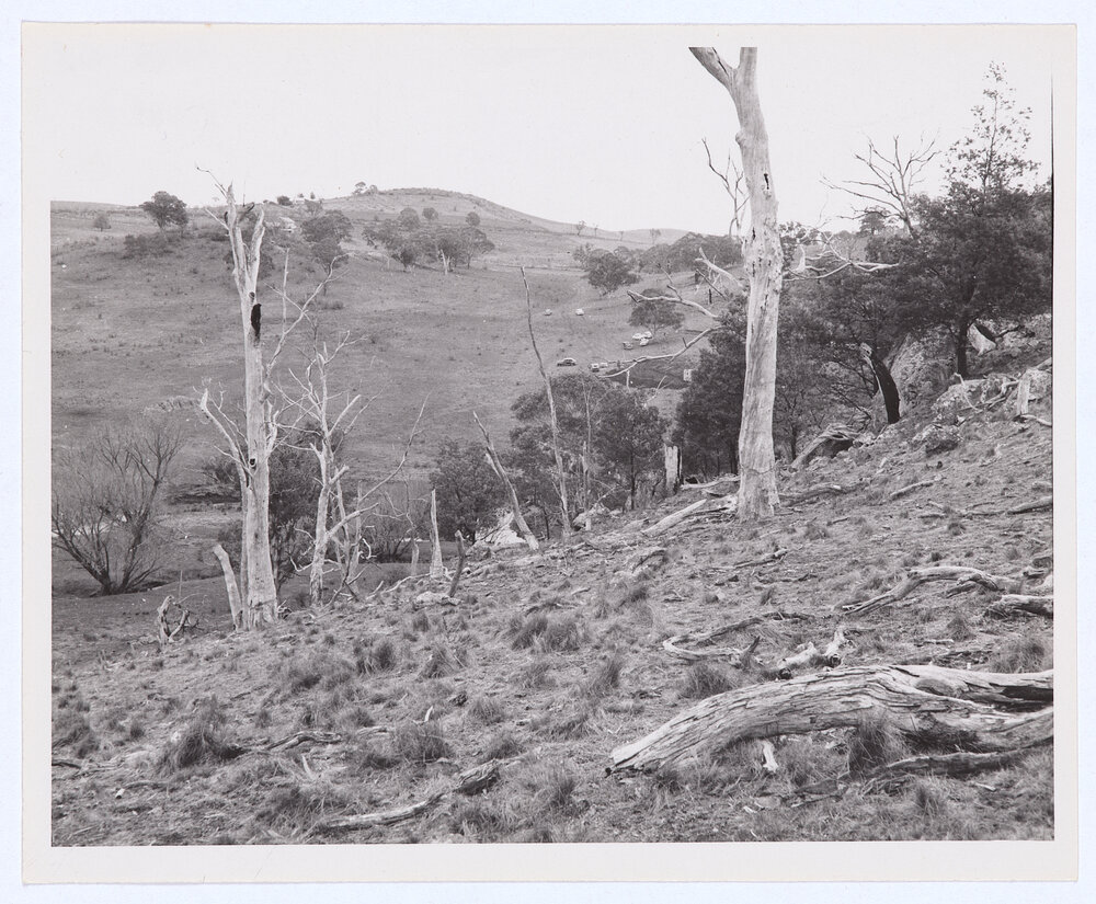 Suma Park Dam, Orange, NSW