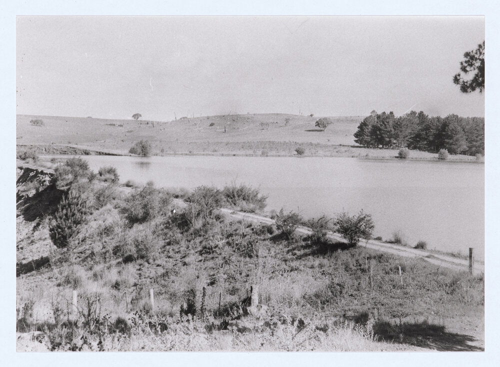 Spring Creek Dam washout