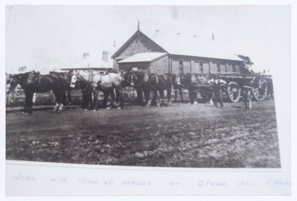 Roy Neal with his team of horses