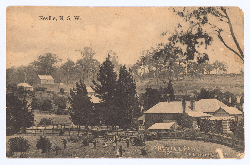 Neville Public School