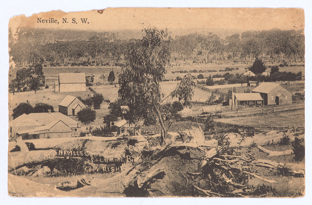 Neville, NSW 