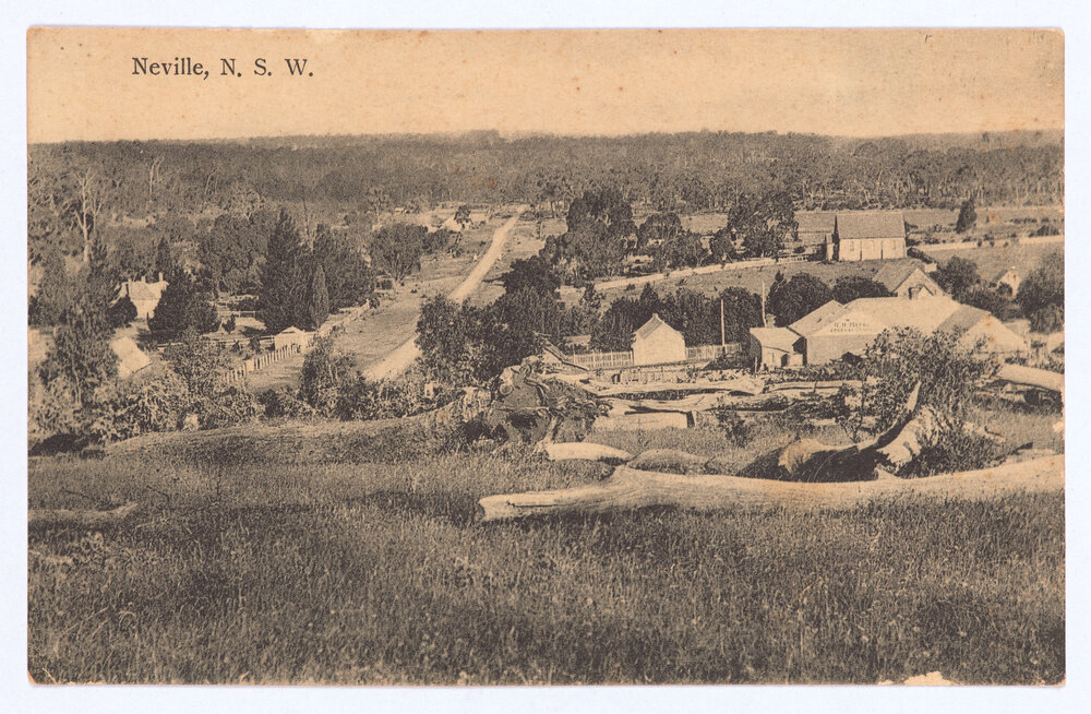 Neville, NSW