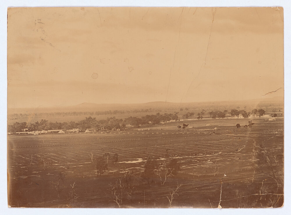 View towards Mount Canobolas