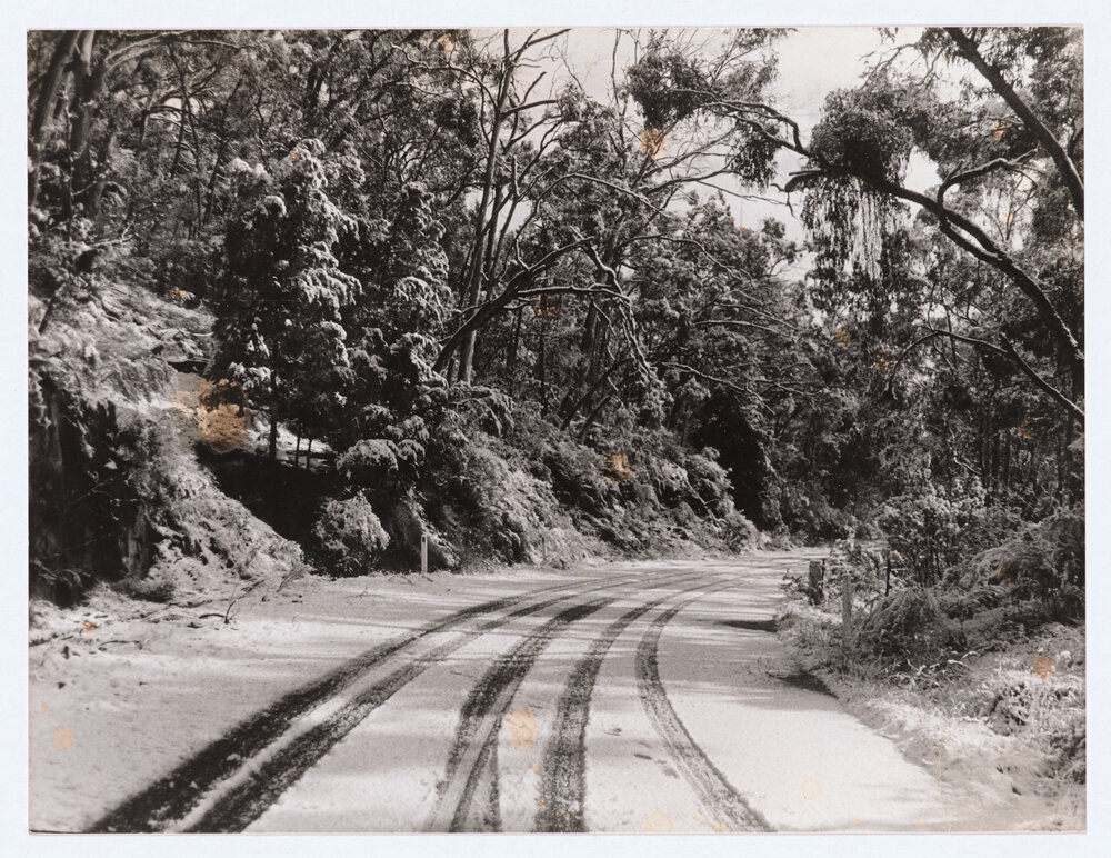 The road to Mount Canobolas