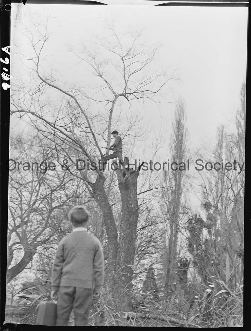 Clean-up at the duck pond