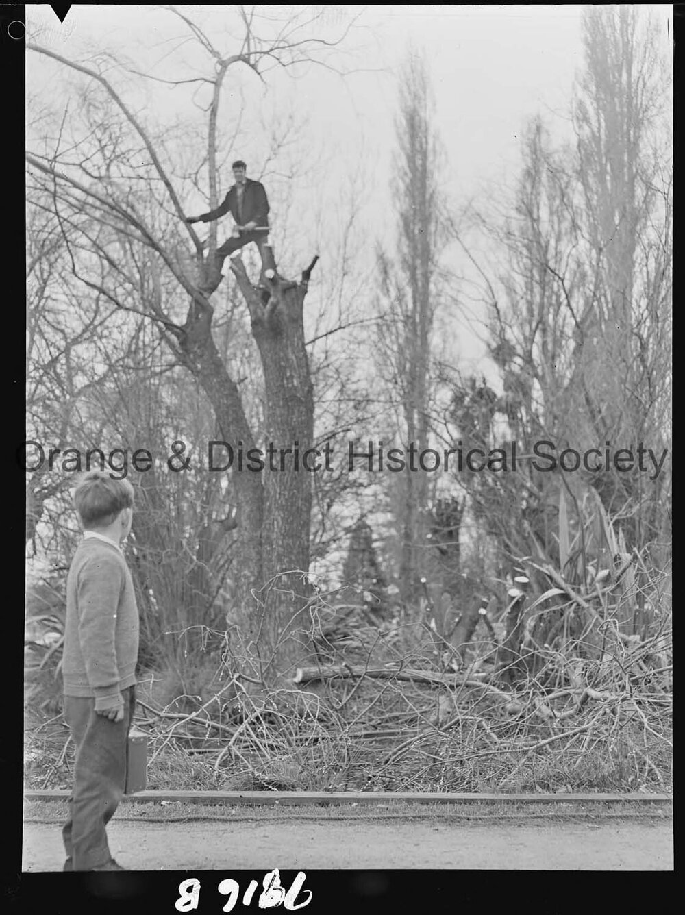 Clean-up at the duck pond
