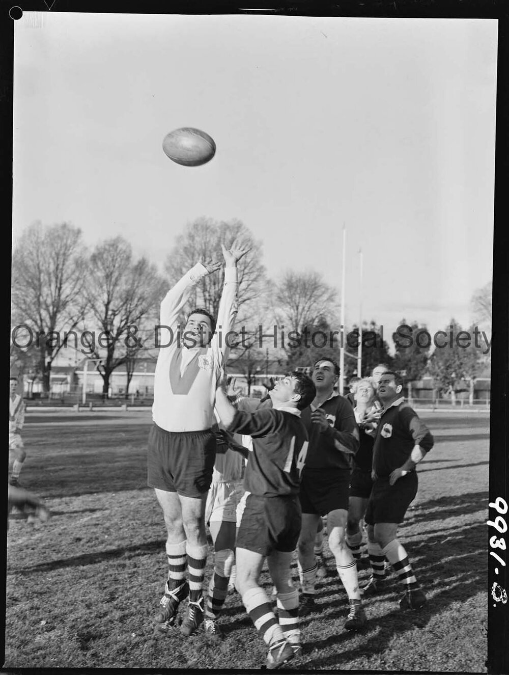 Rugby union Emus v Sylvania-Blakehurst