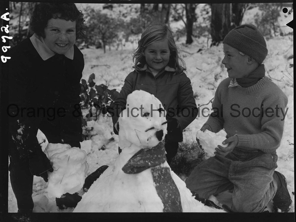 Heavy snow on Mount Canobolas