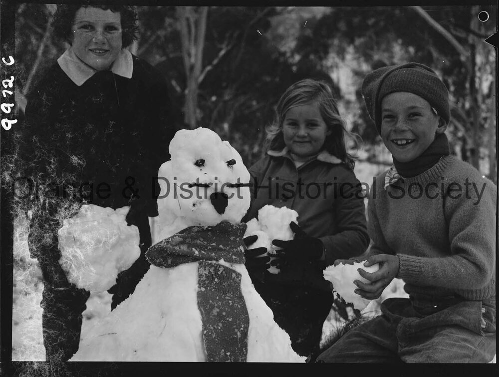 Heavy snow on Mount Canobolas