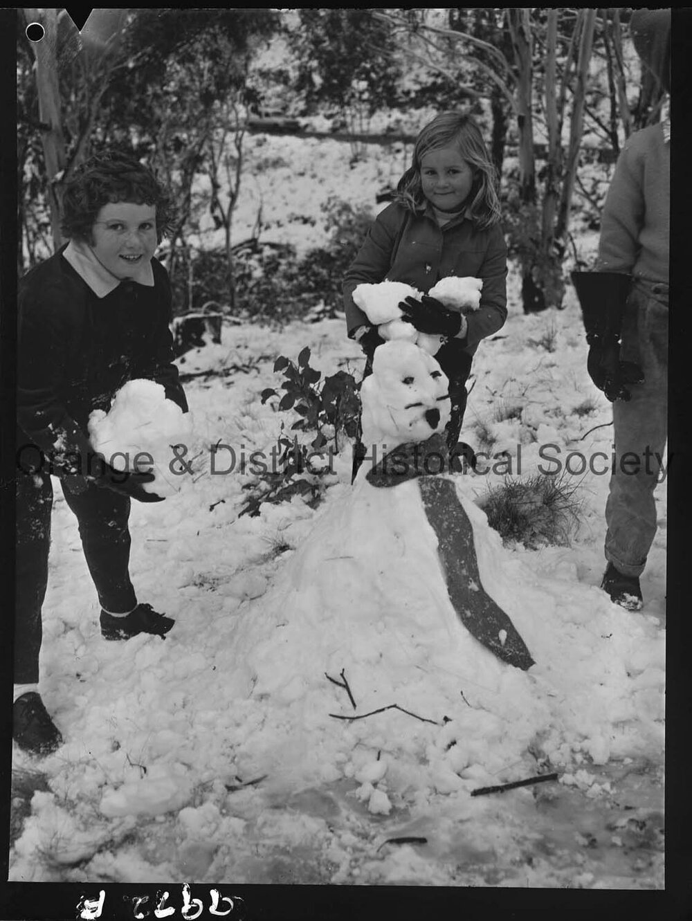 Heavy snow on Mount Canobolas