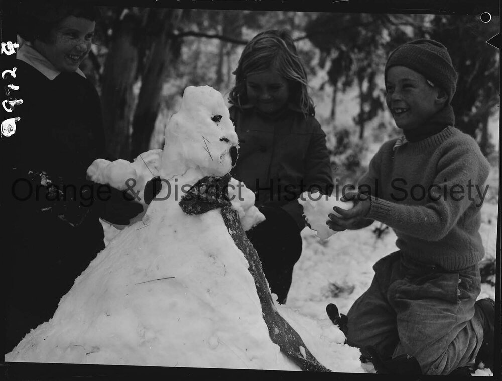 Heavy snow on Mount Canobolas