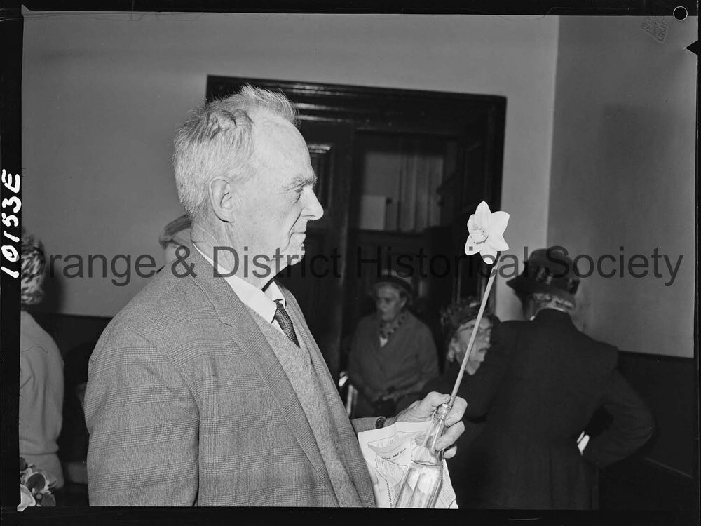 Best bloom, Daffodil