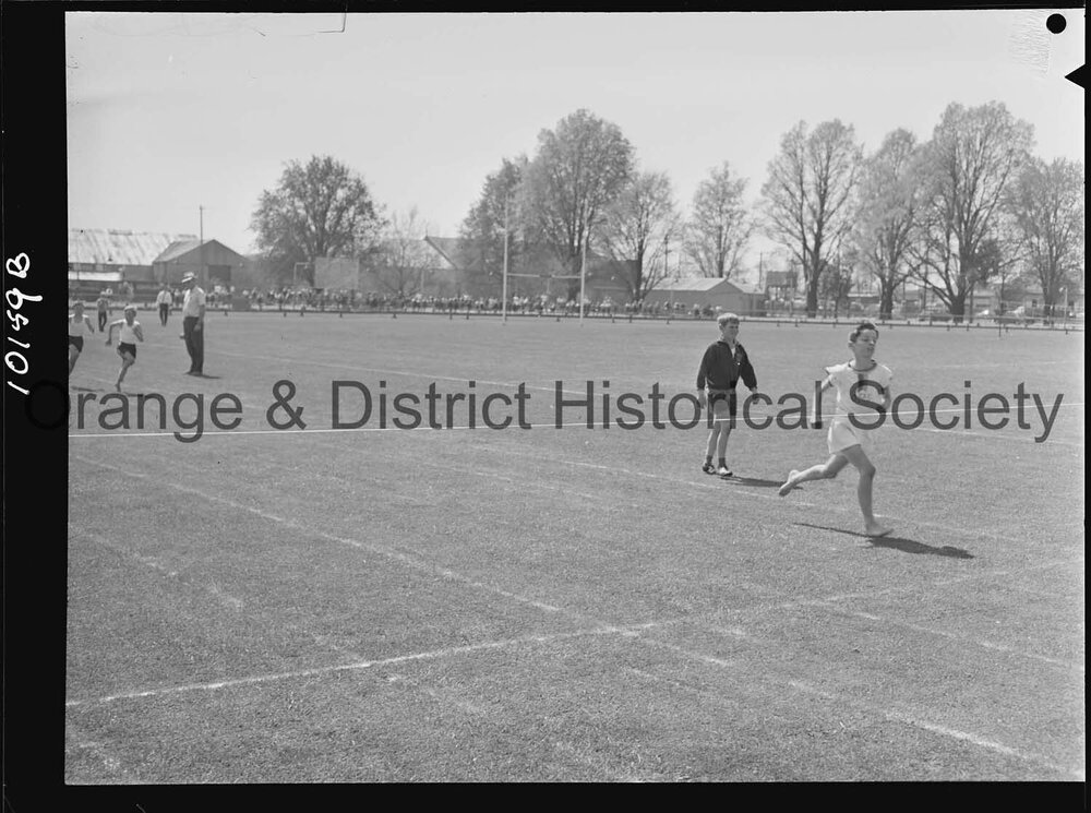 Orange Primary Schools' Sports Carnival