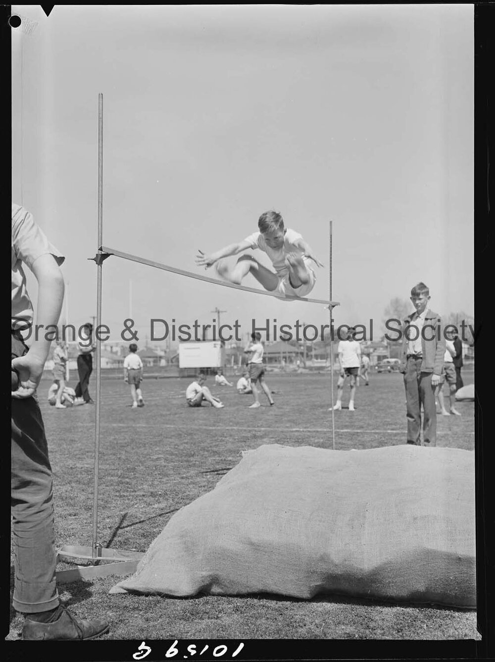 Orange Primary Schools' Sports Carnival