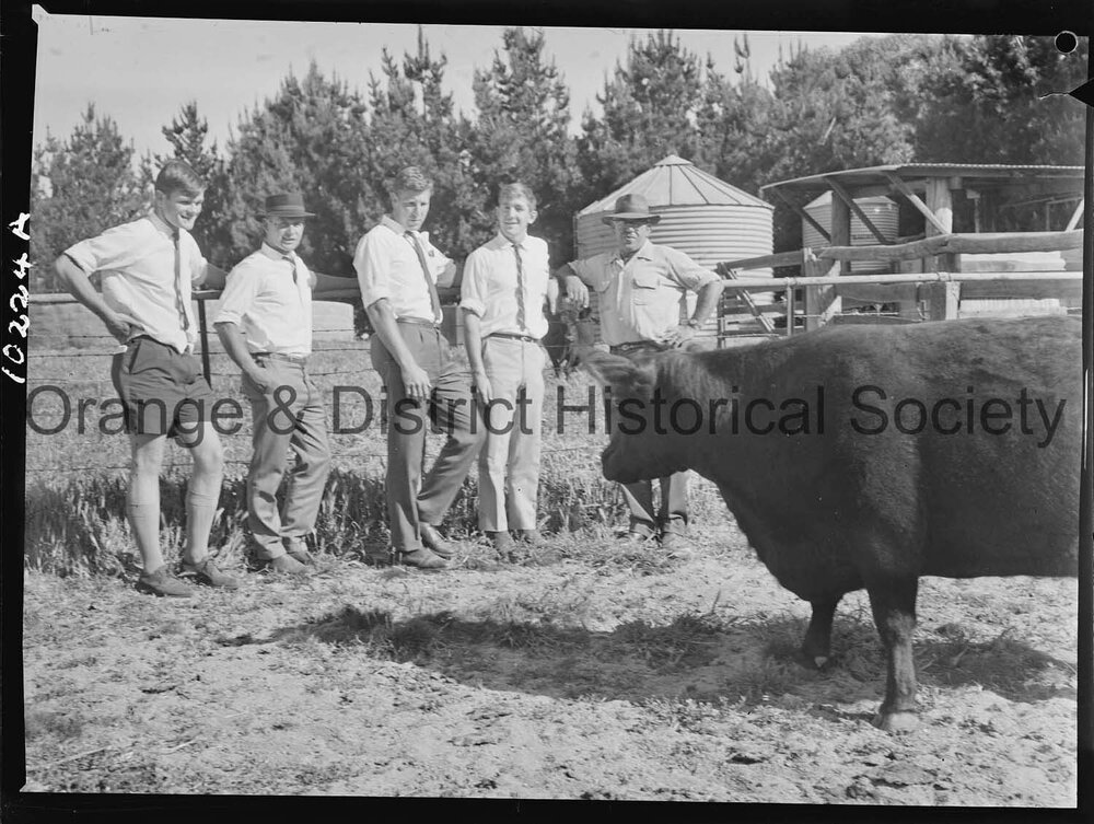Hawkesbury Agricultural College students inspect 'Glendower' property