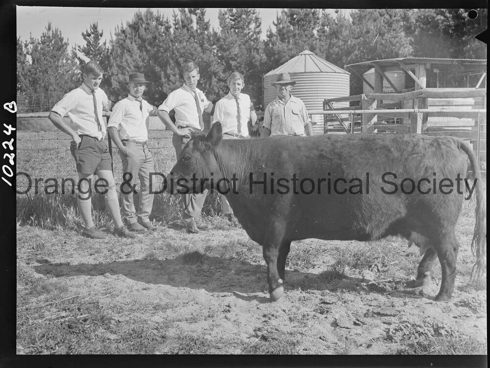 Hawkesbury Agricultural College students inspect 'Glendower' property