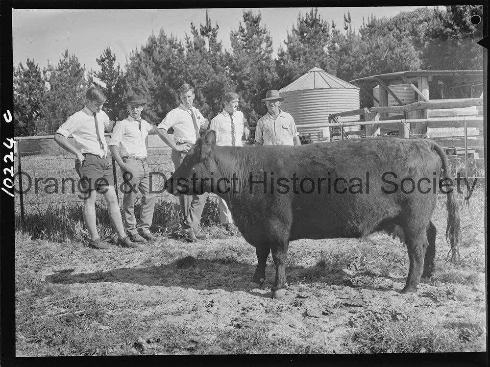 Hawkesbury Agricultural College students inspect 'Glendower' property