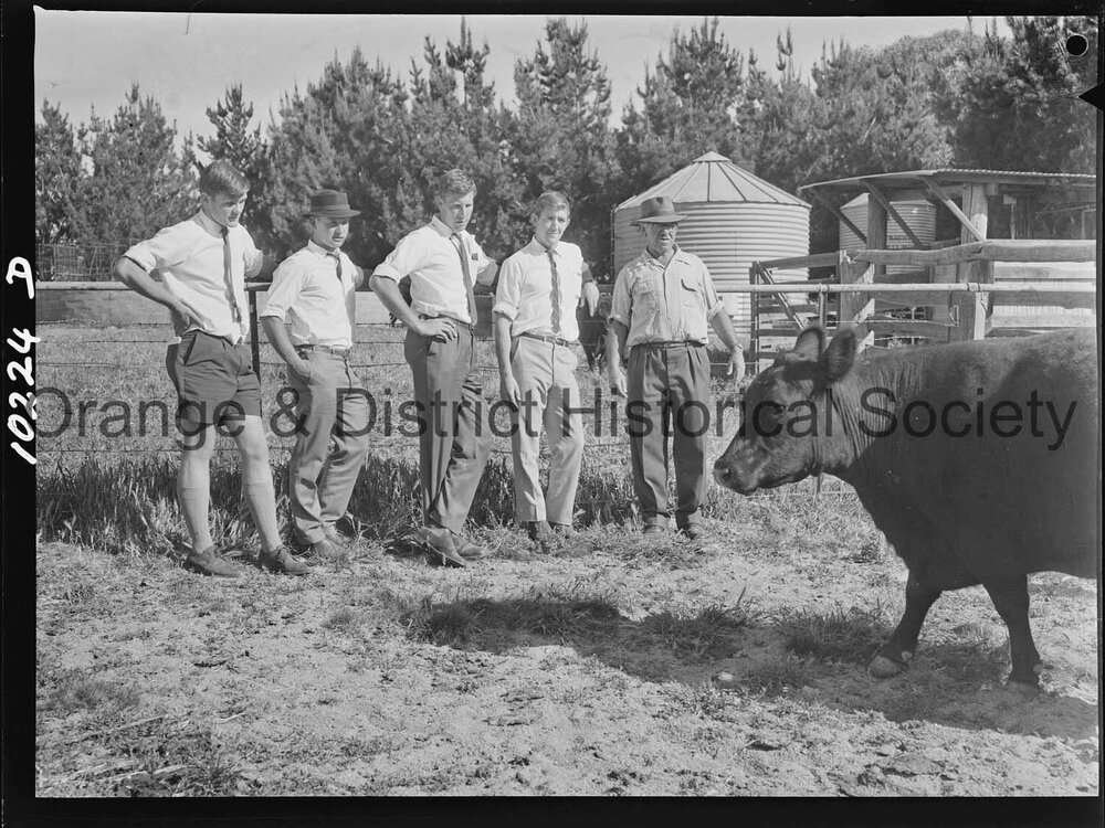 Hawkesbury Agricultural College students inspect 'Glendower' property