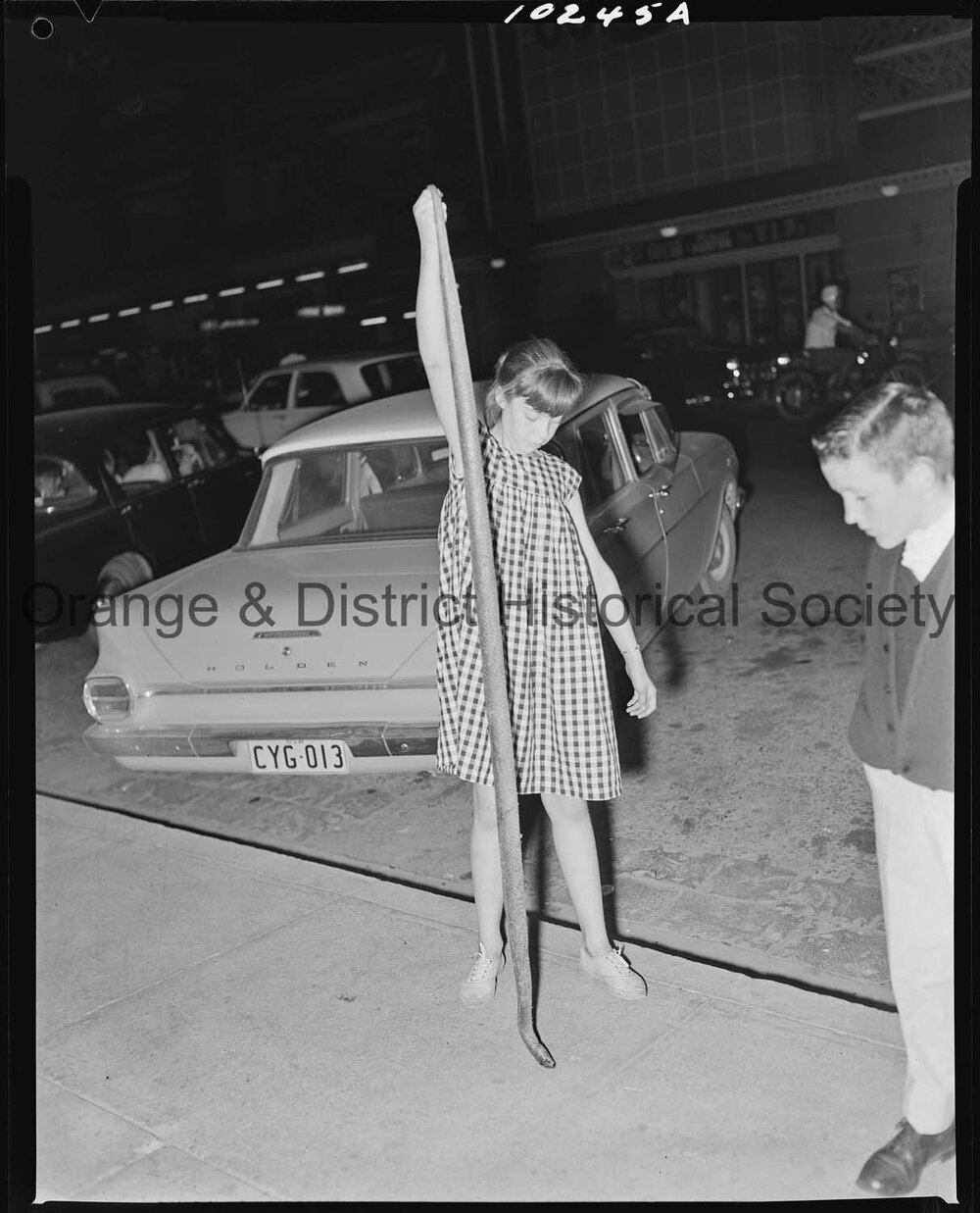 Girl with a brown snake