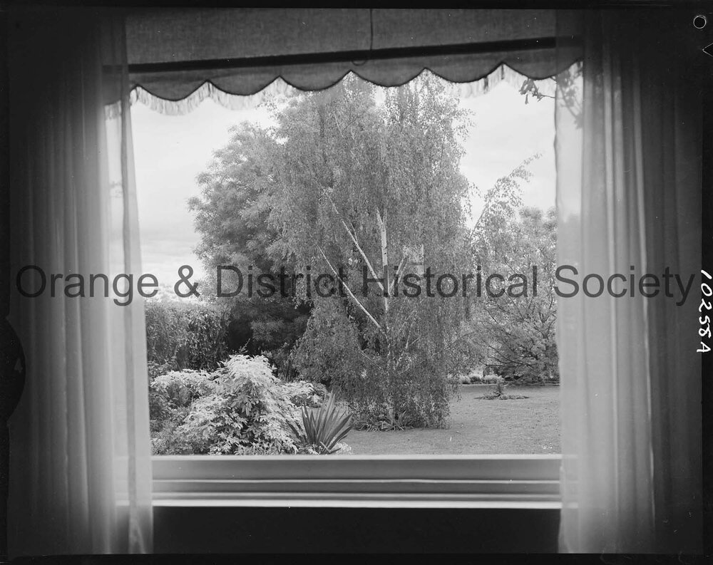 Prize-winning garden