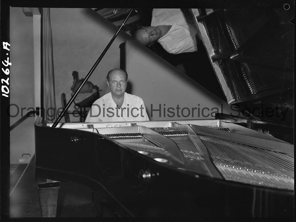 Famous Polish pianist visit