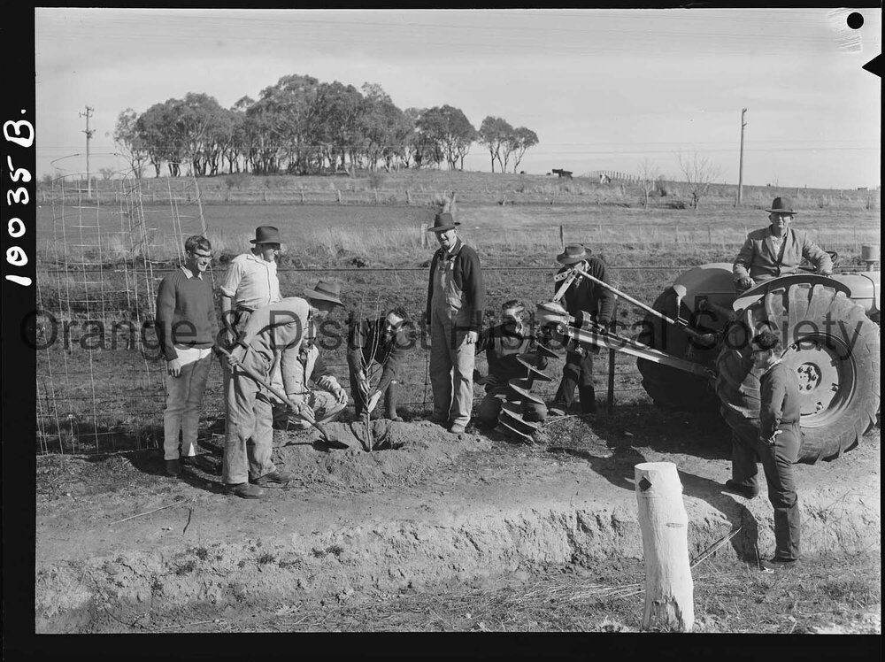 Tree planting at Millthorpe