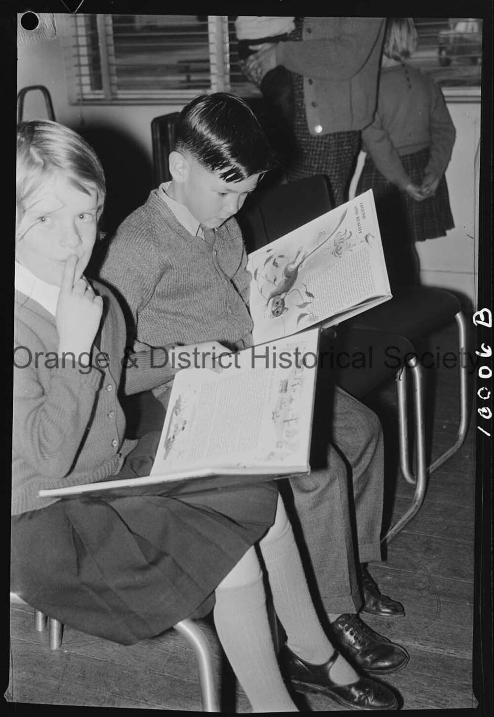 Books for school libraries